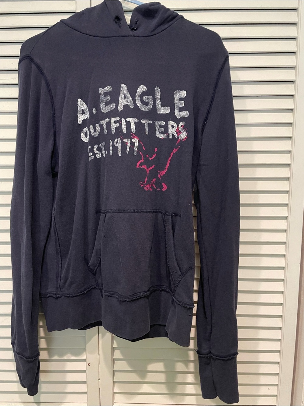 American Eagle Outfitters Navy Hoodie with Pink Graphic